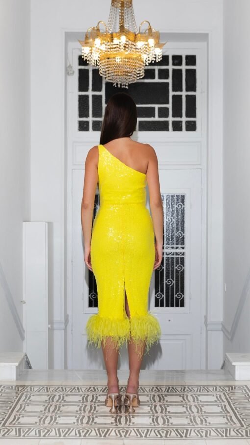 Eirini Makkou – Vittoria One Shoulder Feathered Dress